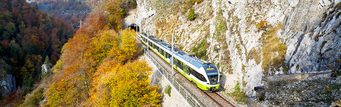 Zug fährt aus Bergtunnel