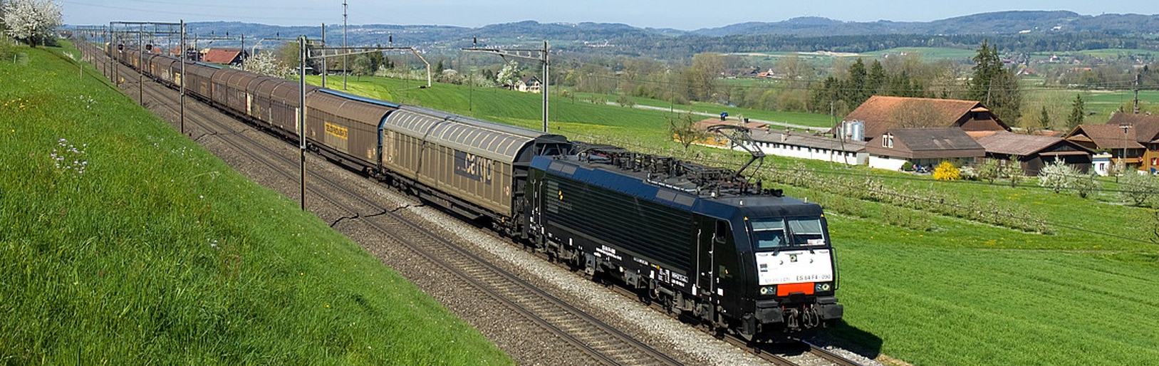 Un train de marchandises roule dans l'herbe